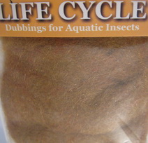 ������� life cycle dub NYMPH ginger  Wapsi